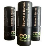 Baume à lèvres 100 % Beurre de Karité – 7 g